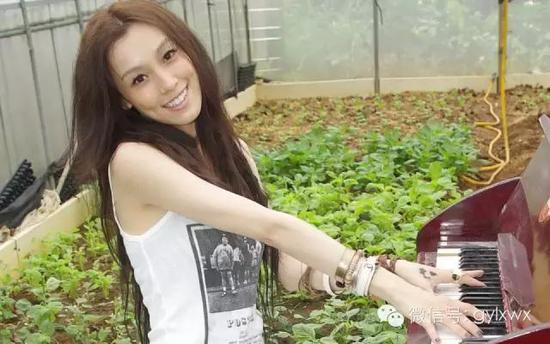 明星旅行糗事一籮筐 總有一個(gè)萌到你！