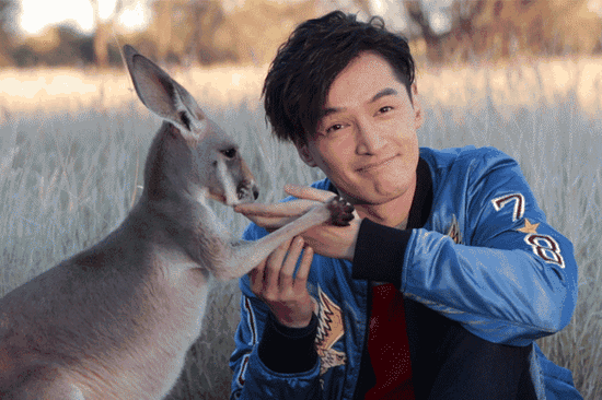 小袋鼠還有親到胡歌喲！