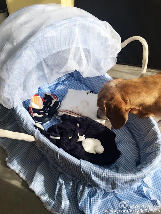 張梓琳確認(rèn)已懷孕 張梓琳確認(rèn)已懷孕