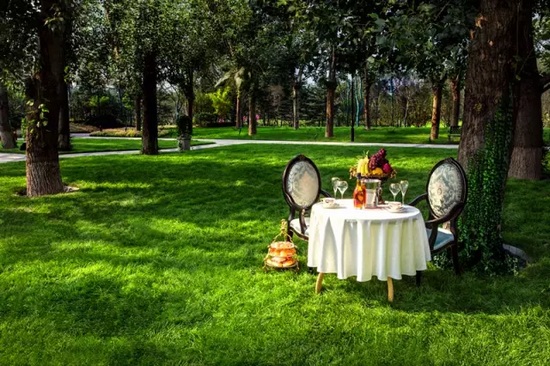 秋陽鴻園，芳草青青