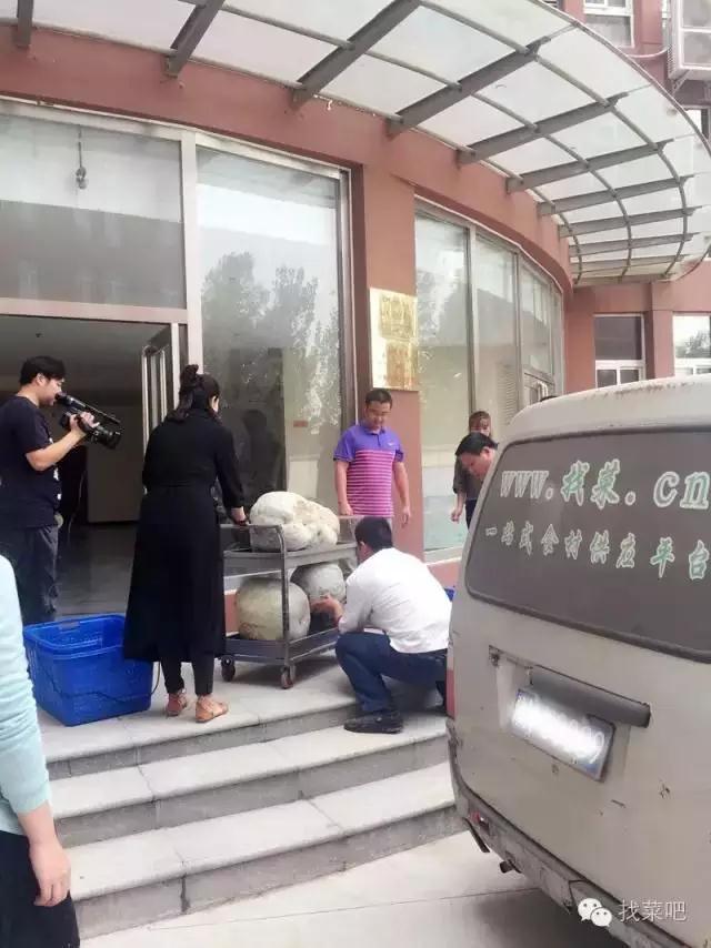 找菜網(wǎng)認(rèn)購(gòu)百萬(wàn)斤冬瓜，解農(nóng)戶(hù)燃眉之急