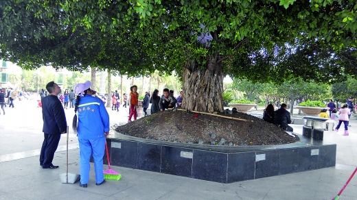 物管人員打算拆除小帳篷（白圈），小孩在一旁依依不舍