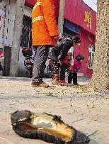 老漢右腿燒傷，樹下扔了一只燒焦的鞋