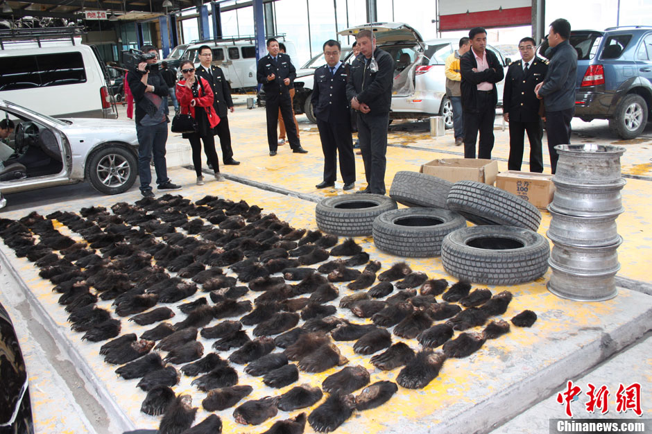 滿(mǎn)洲里海關(guān)破獲全國(guó)最大熊掌走私案 滿(mǎn)洲里海關(guān)破獲全國(guó)最大熊掌走私案