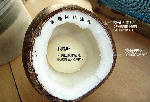 你在甜品店常吃的東西，到底都是啥？