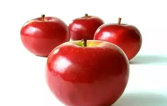 小心有毒！各種蔬果不能吃的部分