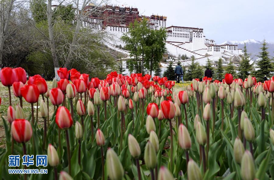 各地迎進(jìn)“五一”小長假 各地迎進(jìn)“五一”小長假