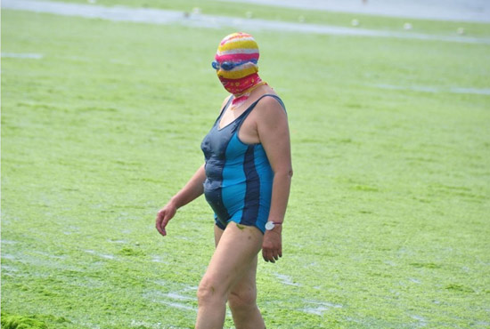 2013年7月3日，山東青島青島高溫來襲，“青島大媽”不懼滸苔，戴著“強(qiáng)盜面具”出現(xiàn)在海水浴場消暑降