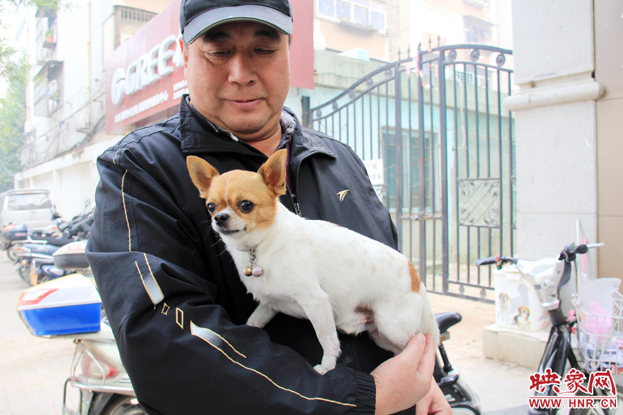 在市民眼里，小狗狗都是他們的小寶貝