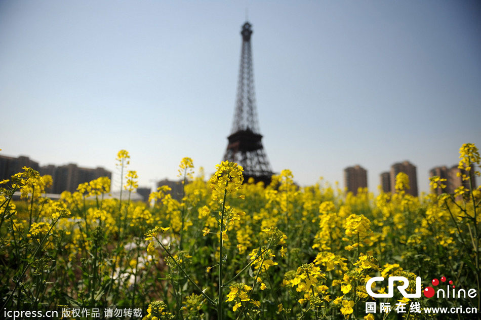 　2014年3月21日，杭州天都城，農(nóng)民在山寨埃菲爾鐵塔下耕作。圖片來源：東方IC