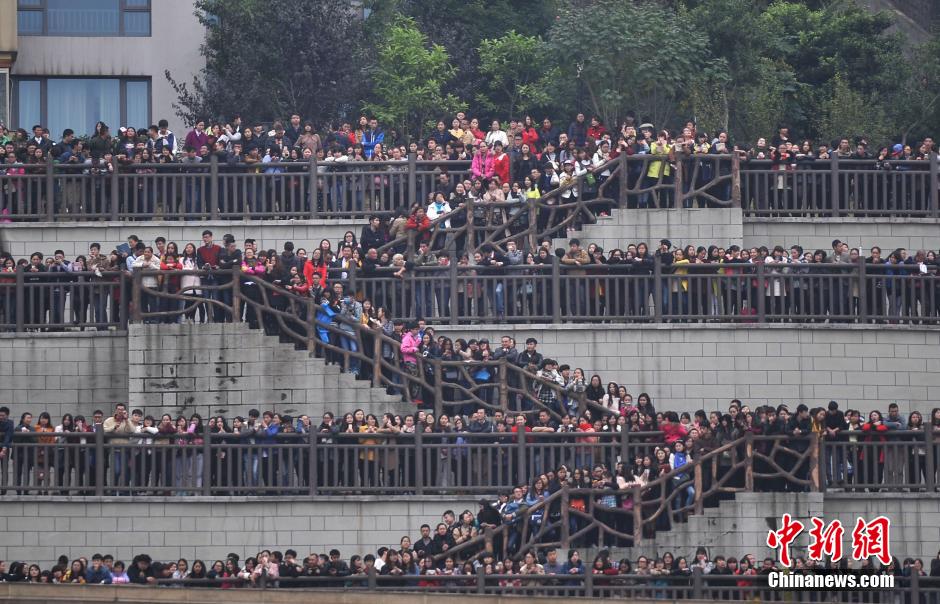 重慶上萬粉絲在南濱路等待《奔跑吧兄弟》節(jié)目的錄制。