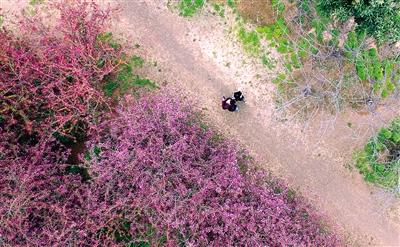 鄭州高校成市民“旅游勝地” 校方無(wú)奈出“狠招”