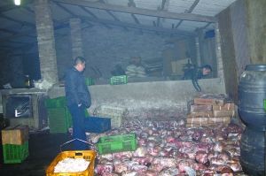  警方現(xiàn)場查獲的大量病死豬肉及“問題”腌臘制品。 沙區(qū)警方供圖