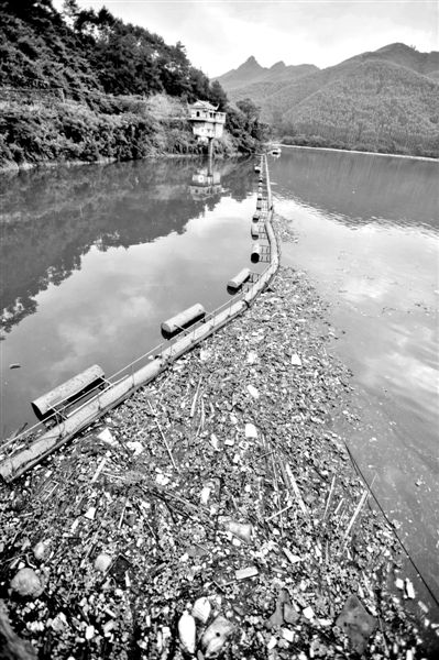 7月7日，廣西賀州市賀江合面獅段被污染的水域。據(jù)新華社