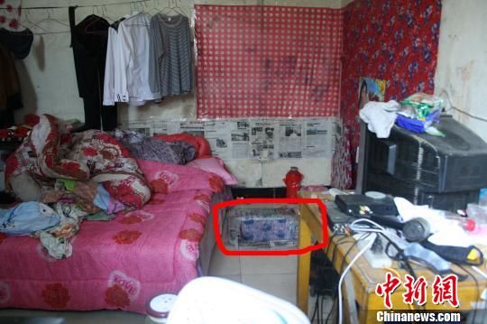 圖上紅圈內為嫌犯所挖地窖入口。 吳佳蔚 攝