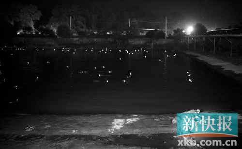 昨日，西湖村鱷魚養(yǎng)殖場已修復圍欄。