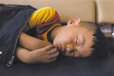 9月6日，等待錄制節(jié)目的多多躺在沙發(fā)上熟睡。新京報(bào)記者 侯少卿 攝