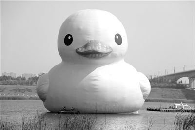 昨日，經(jīng)過連夜修正，大黃鴨的嘴部已恢復(fù)變寬，和在香港展出時看起來一樣。