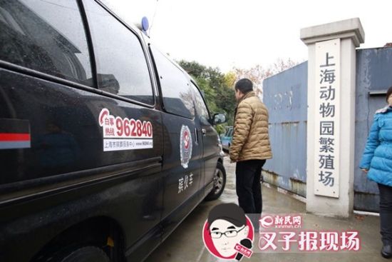 殯葬車到達(dá)現(xiàn)場。新民網(wǎng) 記者 蕭君瑋 攝