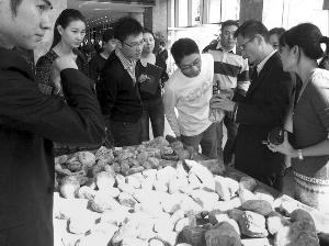 前段時(shí)間，夫子廟古玩城舉行的一場賭石活動(dòng)，吸引了不少人參與