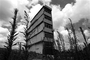 這幢5層的“片片樓”周?chē)咽且黄疬w后的廢墟，左邊的一堵墻上，不少鋼筋裸露在外面 圖片來(lái)源：新華網(wǎng)