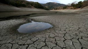 美國(guó)加州干旱加重或停止供水影響2500萬人（圖）