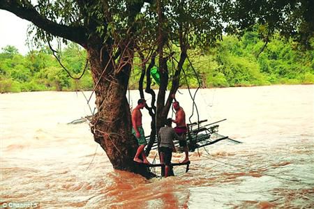 蓋屋、種菜，“從沒這樣快樂”