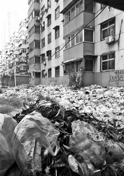 透過擋板縫向內(nèi)看，30多米垃圾已經(jīng)將居民樓包圍。