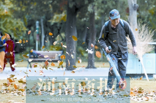 秋風吹過，落葉滿地