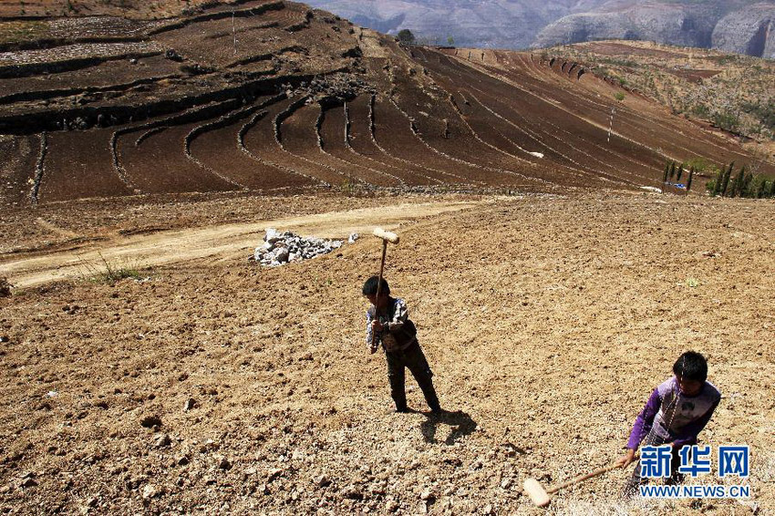 3月16日，在貴州省畢節(jié)市威寧縣斗古鄉(xiāng)中關(guān)村，兩個(gè)孩子幫助家人在干旱的土地上勞動(dòng)。