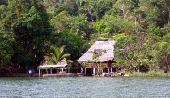 美國殺毒軟件公司“邁克菲”的創(chuàng)始人約翰·邁克菲(John McAfee)"一夫七妻" 美國殺毒軟件公司“邁克菲”的創(chuàng)始人約翰·邁克菲(John McAfee)"一夫七妻"