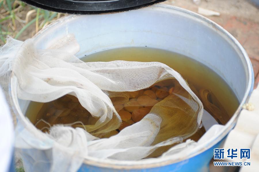 地下水成“綠茶”　污染二十多年該誰(shuí)治？