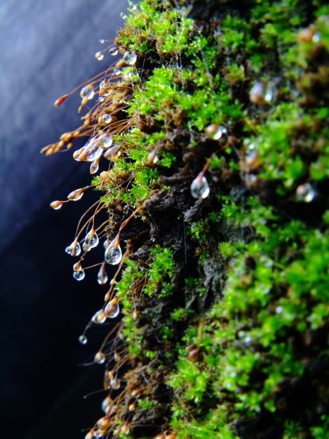 龍峪灣美景 龍峪灣美景