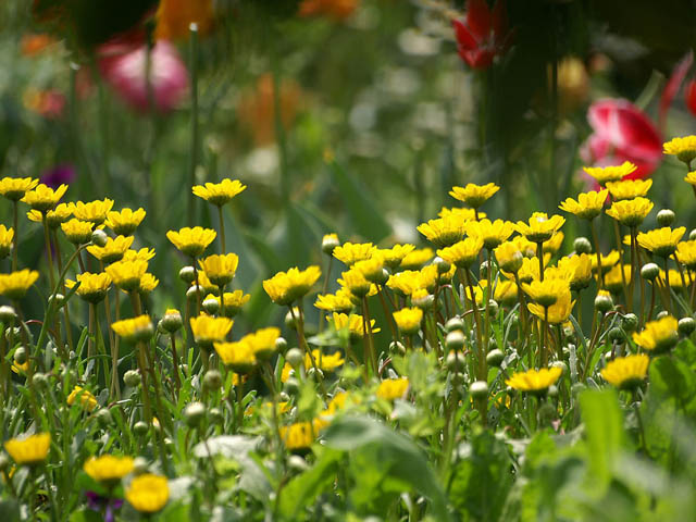 龍峪灣美景 龍峪灣美景