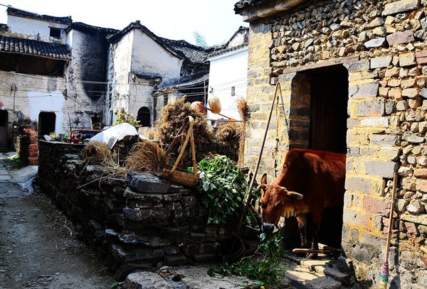 10大古村落，見證鶴壁舊時(shí)光