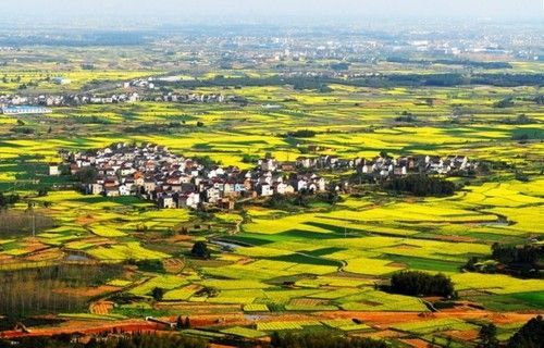 盤(pán)點(diǎn)全國(guó)13處絕美的油菜花觀賞地