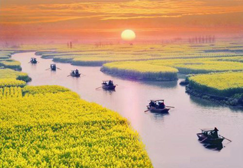 如何拍攝油菜花？達(dá)人教你7個(gè)拍攝技巧