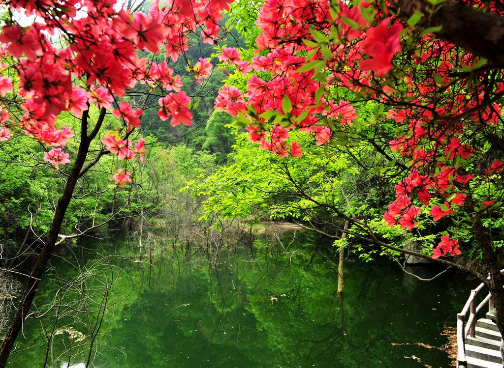 母親節(jié)河南景區(qū)優(yōu)惠大波來襲！