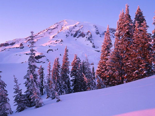 華盛頓，雷尼爾山