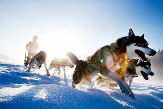 冬季貝加爾,適合享受冰上運動,狗拉雪橇、雪上摩托車、雪地徒步等都是不錯的選擇 F5.6,1/115秒