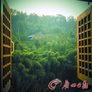 推窗滿目綠樹(shù)來(lái) 臥聽(tīng)靜夜溪流吟