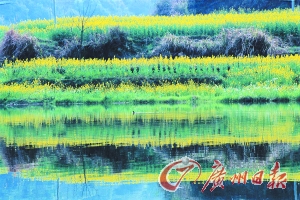 　　江嶺梯田落差不大,但有花有水。