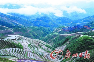 　　龍勝梯田大氣而立體。