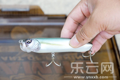 　　又稱擬餌釣魚(yú),起源于歐洲,國(guó)內(nèi)翻譯為“路亞”。