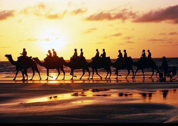 重走絲綢之路 20輛歐洲老爺車跨6國(guó)抵達(dá)古都洛陽 重走絲綢之路 20輛歐洲老爺車跨6國(guó)抵達(dá)古都洛陽