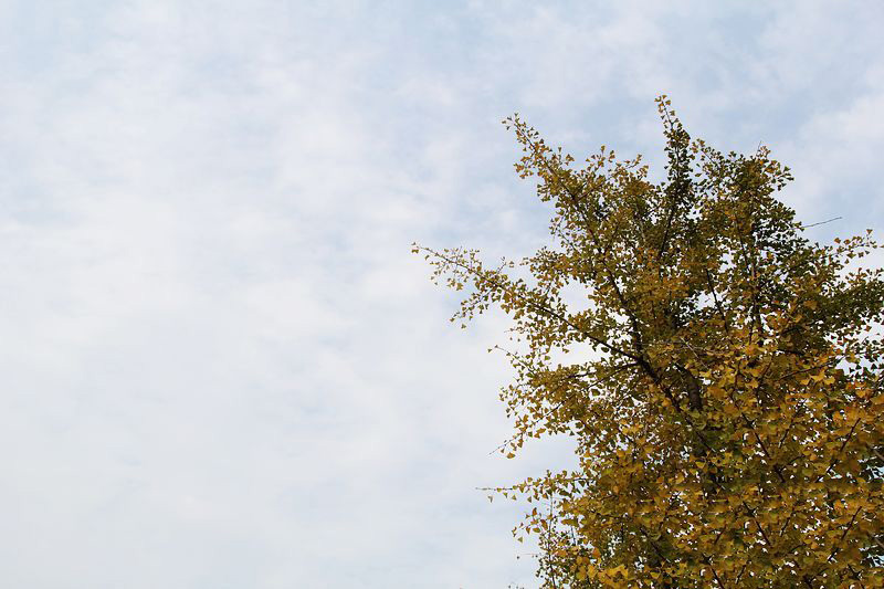 初冬旅游正此時 騎行走進黃河風(fēng)景名勝區(qū)