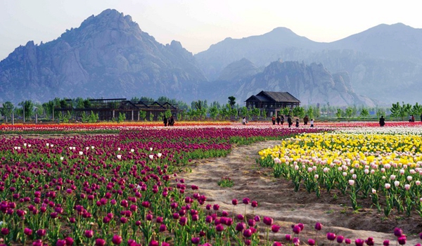 別樣蜜月，河南最適宜新婚度假的景區(qū)