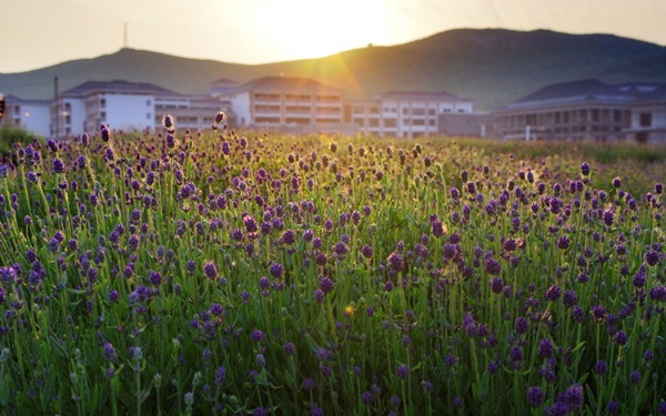 別樣蜜月，河南最適宜新婚度假的景區(qū)