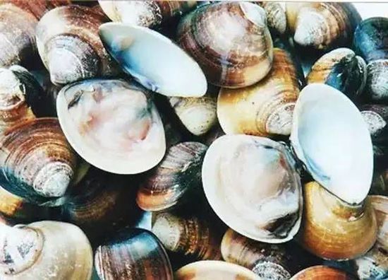 秋季最適合吃的海鮮是這10種 你吃對(duì)了嗎？