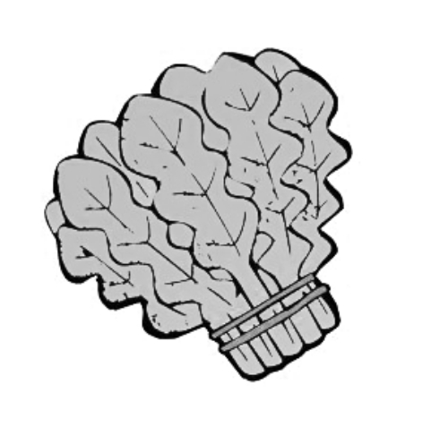 雪后菜價(jià)瘋漲15倍？沒(méi)恁夸張 元旦豬肉雞蛋或漲價(jià)